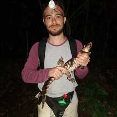 Rafael Bordin's profile picture