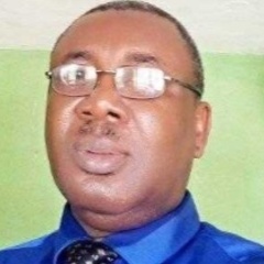 Christian Iwuagwu's profile picture