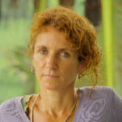 ana da silva's profile picture