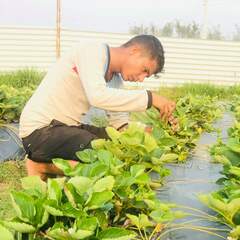 Shambhu Katel's profile picture