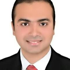Abdelrahman Sedeek's profile picture