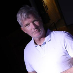 Dominique Sweeney's profile picture