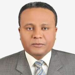 Abdalla Elfakki Elbashir's profile picture