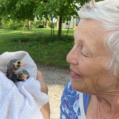 Judy Polumbaum's profile picture