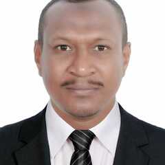 Salah Eldin Hussein's profile picture