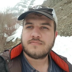 Ali Bakhshi's profile picture