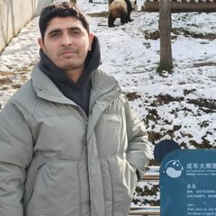 Muhammad Fraz Ali's profile picture