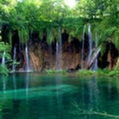 Mohnad Abdalla's profile picture