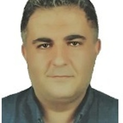 Saeed Gholizadeh's profile picture