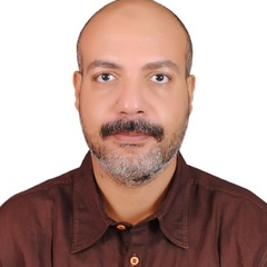 Mohamed EL-Shimy's profile picture