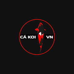 Ca Koi's profile picture