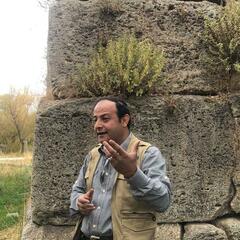 Mojtaba Doroodi's profile picture