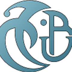 Abdelmoumene  Laidouci's profile picture