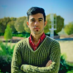 Hossein Dartoomi's profile picture