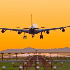 lucia joseph's profile picture