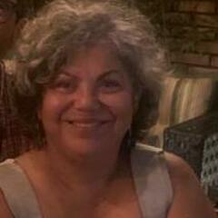 Maria  Ribeiro's profile picture