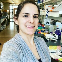 Clarissa Fantin Cavarsan Muller's profile picture