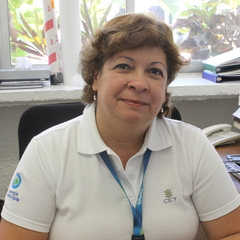 Daisy Perez-Brito's profile picture