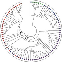 Rahul  Kumar 's profile picture