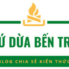Xu Dua Ben Tre's profile picture