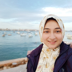 Rehab Meckawy's profile picture