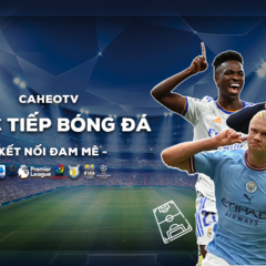 Ca heo TV's profile picture