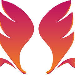 services paper's profile picture