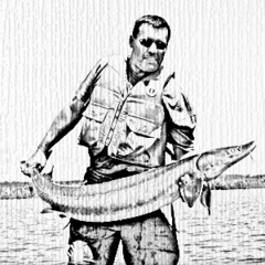 Tim Haxton's profile picture