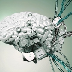 Christiyan Naydenov's profile picture