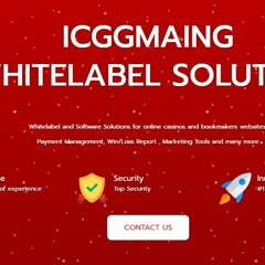 icg  gaming's profile picture