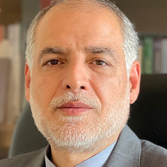 Saeed Asgary's profile picture