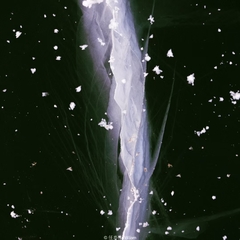 Xiangwen Li's profile picture