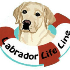 Labrador Life Line's profile picture