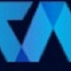 Virtual Auditor Pvt  Ltd's profile picture