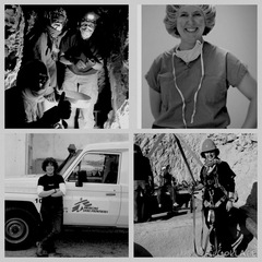 Angelique Corthals's profile picture