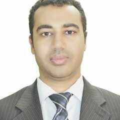 Ayman Amin's profile picture