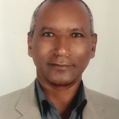 Ayalew wodajo's profile picture