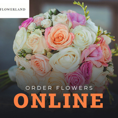 The  FlowerLand's profile picture