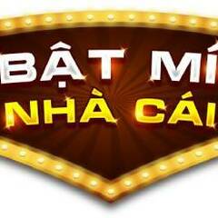 batminhacai com's profile picture