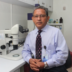 Lorenzo Cáceres Carrera's profile picture