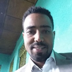 Birhan Taye's profile picture