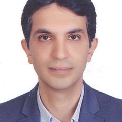Amirhossein Amiri's profile picture