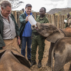 John Scanlon AO's profile picture