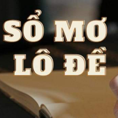 somo bk8ac's profile picture