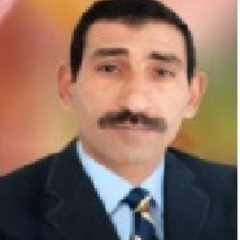 Abd Ali  Hussein's profile picture