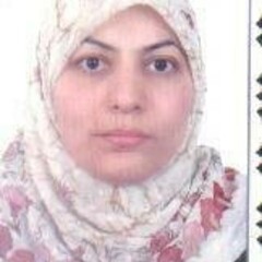 Nidhal M. Abdul-Ameer's profile picture