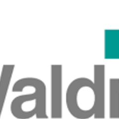 GD Waldner's profile picture