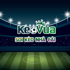 Soi Keovuavn's profile picture