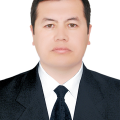 Botir Ibragimov's profile picture