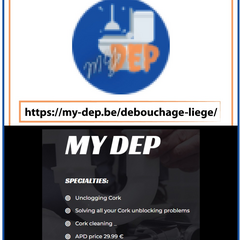 Debouchage  Egout's profile picture